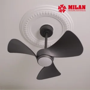 QUAT TRAN MILAN ANH WEB 19.3 03