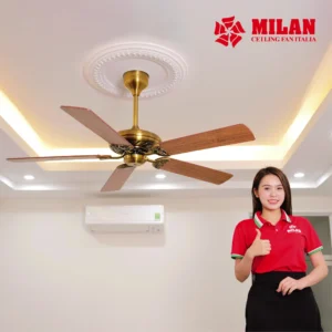 QUAT TRAN MILAN ANH WEB 19.3 10