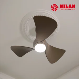 QUAT TRAN MILAN ANH WEB 19.3 12