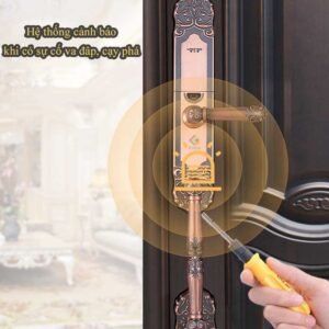 Khóa cửa vân tay Kitos KT-C500 14 Kitos C500 4