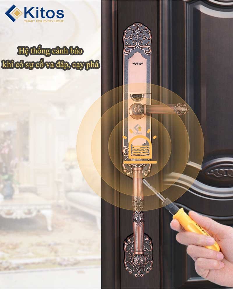 Khóa cửa vân tay Kitos KT-C500 5 Khóa cửa vân tay Kitos KT-C500 - Ảnh 3