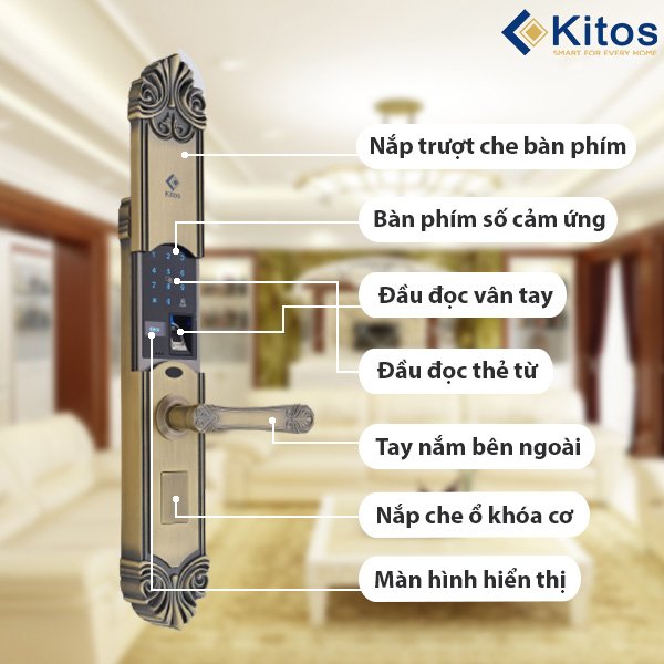 Khoá cửa thông minh Kitos C200 Tân Cổ Điển 4 KT C200