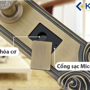 Khoá cửa thông minh Kitos C200 Tân Cổ Điển 17 Kitos kt c200 4