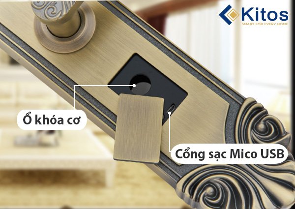Khoá cửa thông minh Kitos C200 Tân Cổ Điển 7 Khoá cửa thông minh Kitos C200 Tân Cổ Điển - Ảnh 5