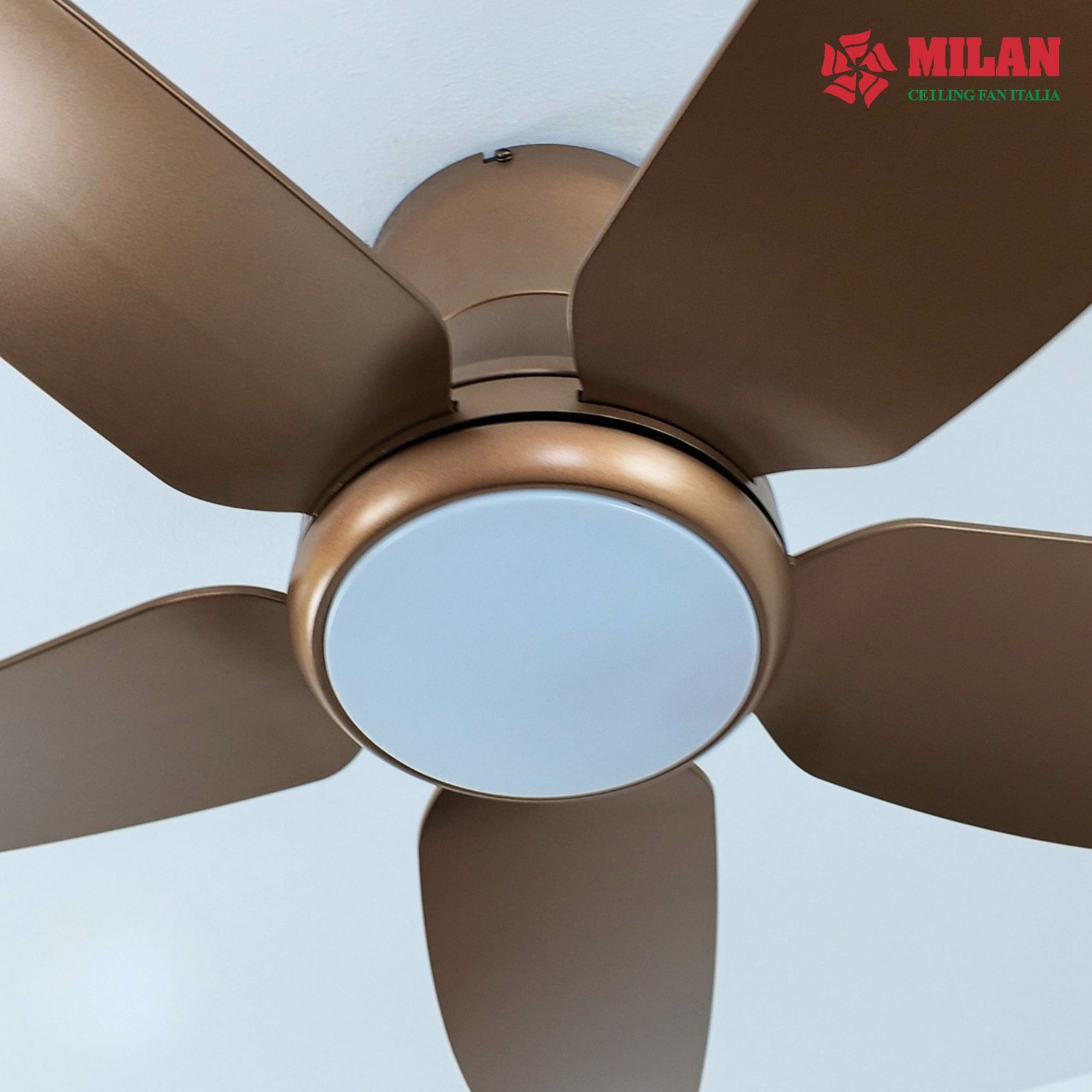 Quạt trần đèn 5 cánh Milan FY588 6 Quạt trần đèn 5 cánh Milan FY588 - Ảnh 4