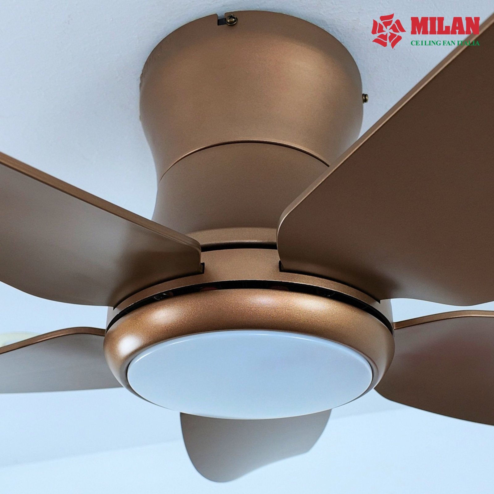 Quạt trần đèn 5 cánh Milan FY588 8 Quạt trần đèn 5 cánh Milan FY588 - Ảnh 6