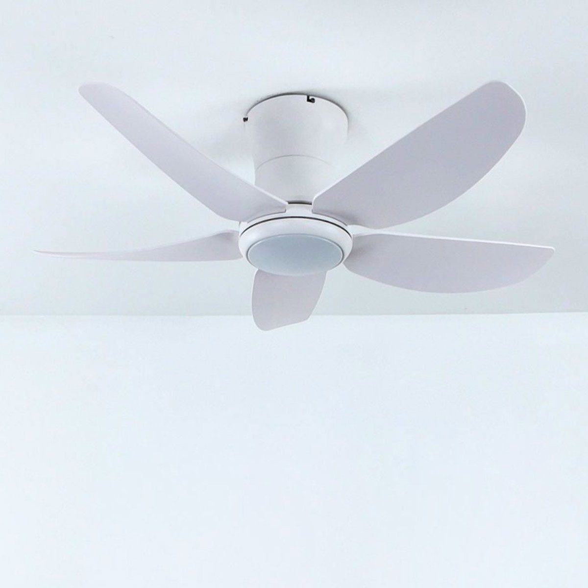 Quạt trần đèn 5 cánh Milan FY588 4 Quạt trần đèn 5 cánh Milan FY588 - Ảnh 2