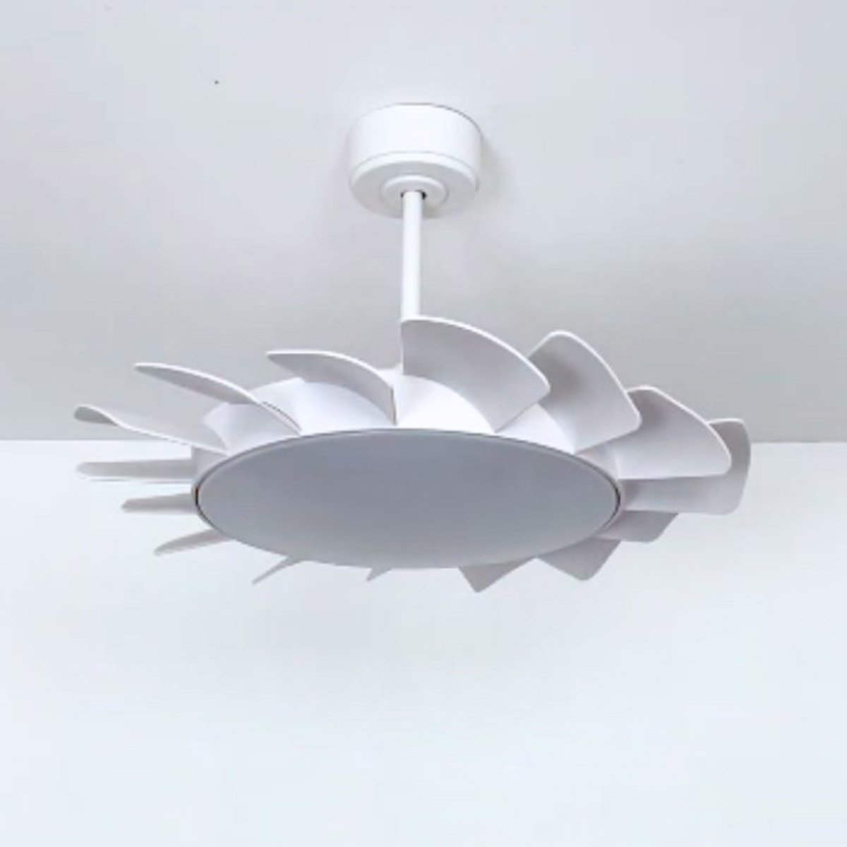 Quạt trần đèn Milan FY566 3 Quạt trần đèn Milan FY566