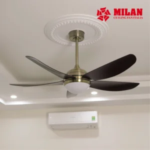 QUAT TRAN MILAN ANH WEB 19.3 45