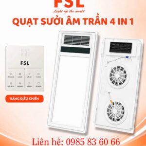 Quat suoi am tran FSL 1