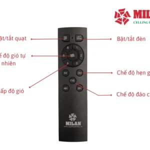 Quạt trần mạ vàng Milan FY961 12 dieu khien tu xa