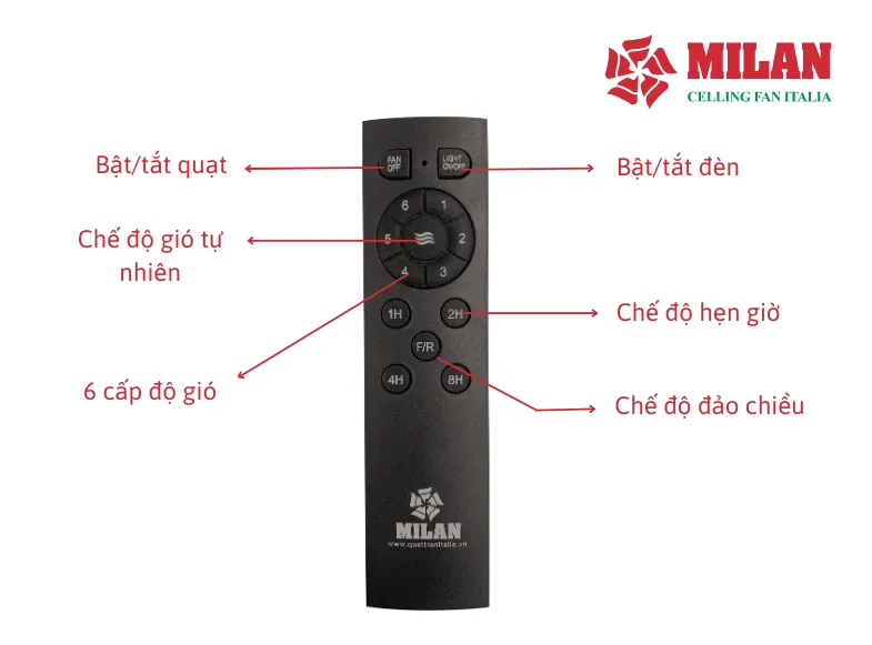 Quạt trần mạ vàng Milan FY961 6 Quạt trần mạ vàng Milan FY961 - Ảnh 4